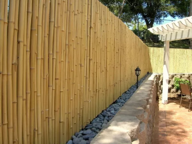 Pravista aty NATURE Bambù Steccato Recinzione Vento E Schermo Privacy ( Hxb )