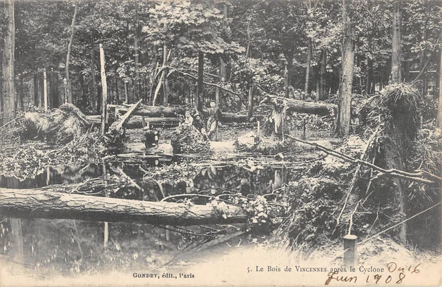 Cpa 94 Le Bois De Vincennes Apres Le Cyclone