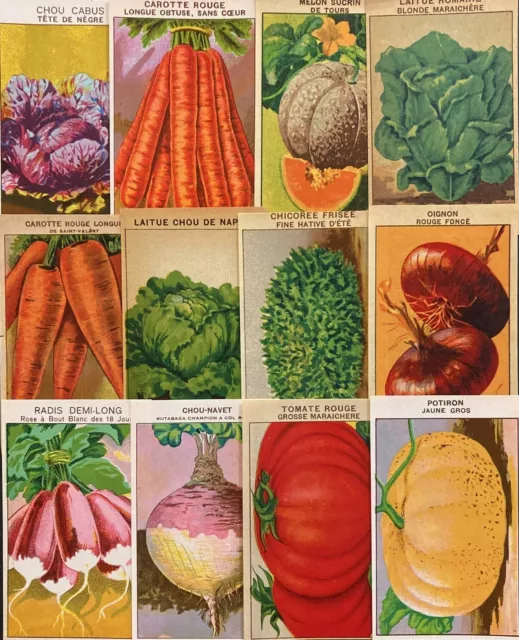 Vintage Lot of 12 French Vegetable Seed Packet Labels-Frame for Home Decor -S-1