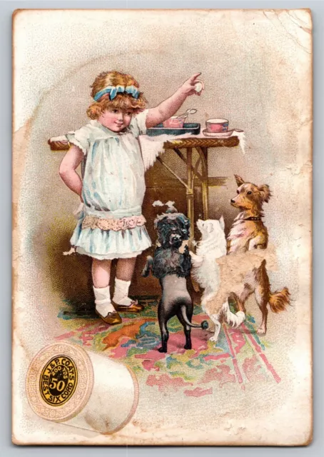 Girl Teases Three Dogs With Food? J.P. Coates Thread Victorian Trade Card