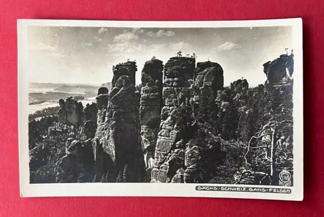 Walter Hahn Foto AK Nr. 1789 Sächsische Schweiz Gans Felsen  ( 137314