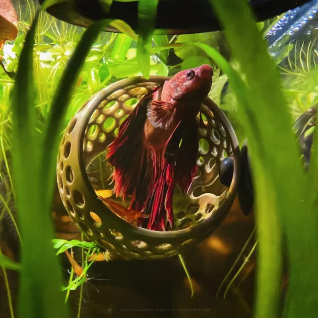 Aquarium Log Cave/Hide-Away - Fish Tank Hiding Ornaments for Betta, Fish, Shrimp