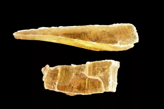 Golden Selenite 2 1/2" 1-2 Oz Metaphysical Solar Plexus Chakra Healing Crystal