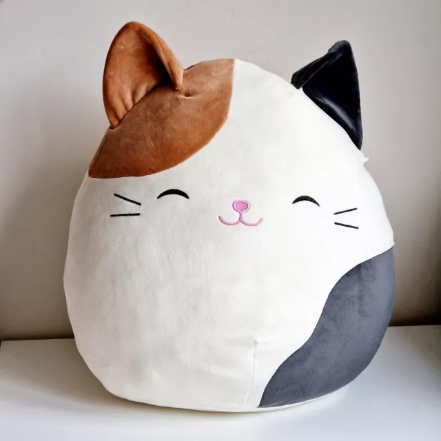 Squishmallow cam cheap