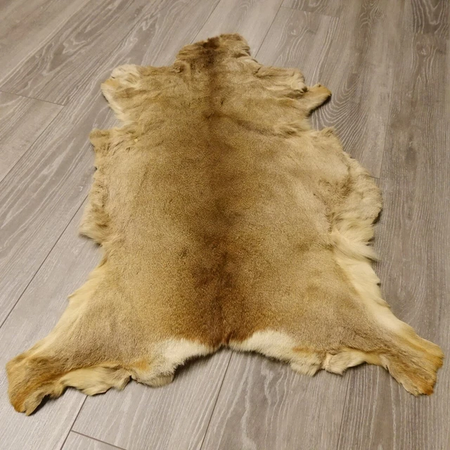 Rehfell Invierno Ciervo Piel Hirschfell Alfombra Deco Longitud 108CM 87.3.15