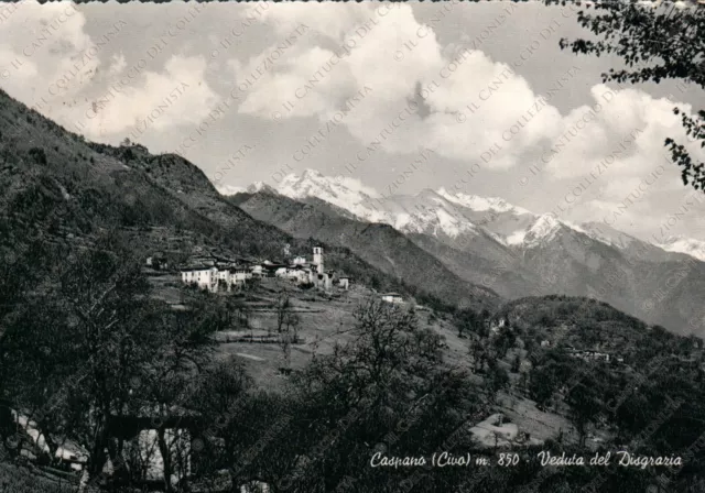 1959 CASPANO Civo Veduta del Monte Disgrazia panorama montagna Sondrio Cartolina