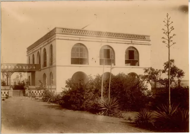 Sénégal, Dakar Vintage citrate print. Afrique Occidentale Française  Tirage ci