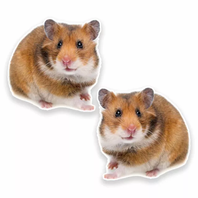 2 x 10cm Hamster Vinyl Sticker Decal Tablet Laptop Helmet Kids Gift Skate #9642