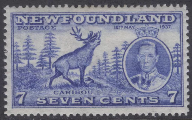 NEWFOUNDLAND 235v SG 259c 1937 7c CARIBOU KGVI LONG CORONATION LP13.7x13.7 MPH