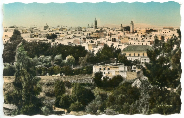 Postcard // Morocco // Meknes La Medina Vue De L'hotel Transatlantique