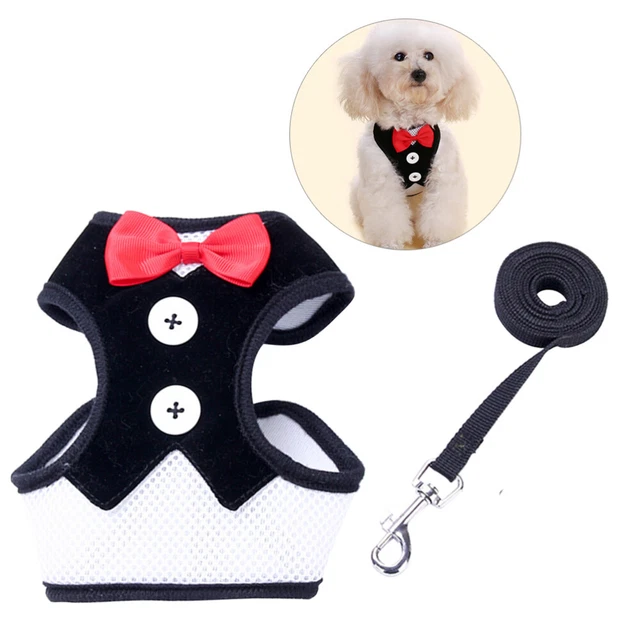 Arnés para perro chaleco mariposa mosca vestido de noche mascota correa collares