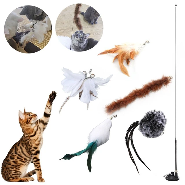 de compagnie Jouet de cloche de plume Jouet de bâton de chat Bâton télescopique