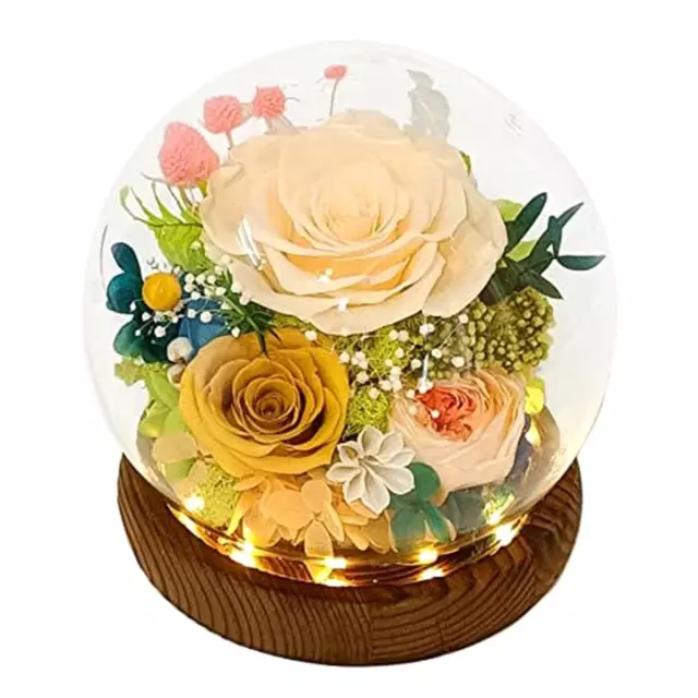 Long-Lasting Real Flowers, Floral Gift to You for Send Love for  Occasions,1304