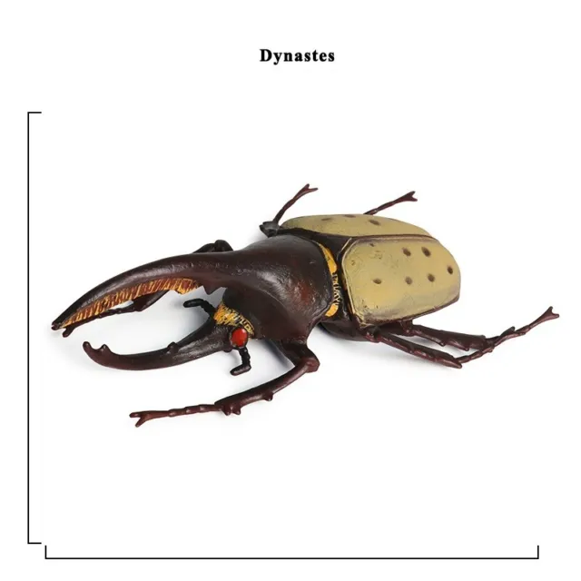 Figura de juguete de 5" dinastes realistas insecto cucaracha día de abril de los locos trucos fiesta de miedo