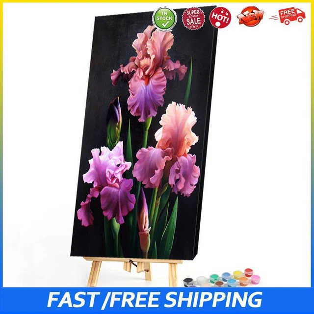 #b Kits de pintura al óleo del iris por números lona imagen de pared hágalo usted mismo flor artesanal (B757)