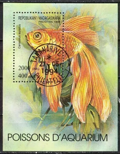 beautiful block: breeding forms of the goldfish (Carassius auratus auratus) 17