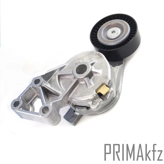 Tendeur de Courroie pour Audi A3 VW Bora Golf IV T5 Seat Toledo II Skoda 1.9 Tdi