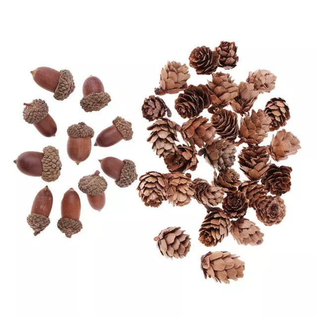 40Pc Natural Acorns Pine Cones Dried Ornament DIY Floral Craft for Christmas.
