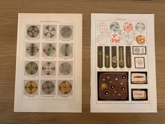Vintage Original Coloured Print Book Plates x2 Science, Cells, Chromatography