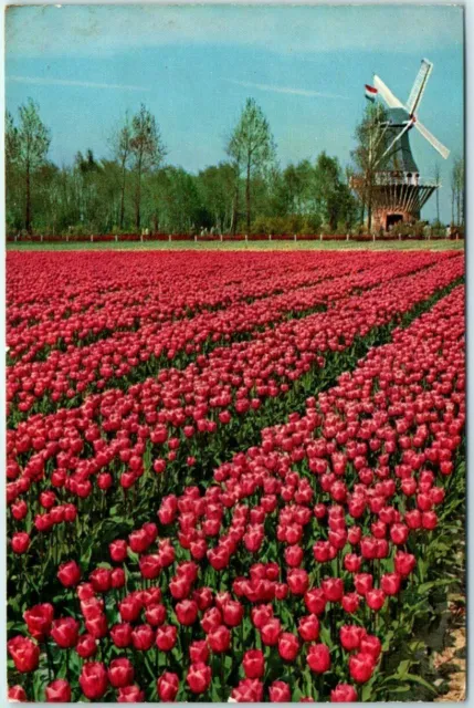 Postcard - Garden of Europe - Lisse, Netherlands