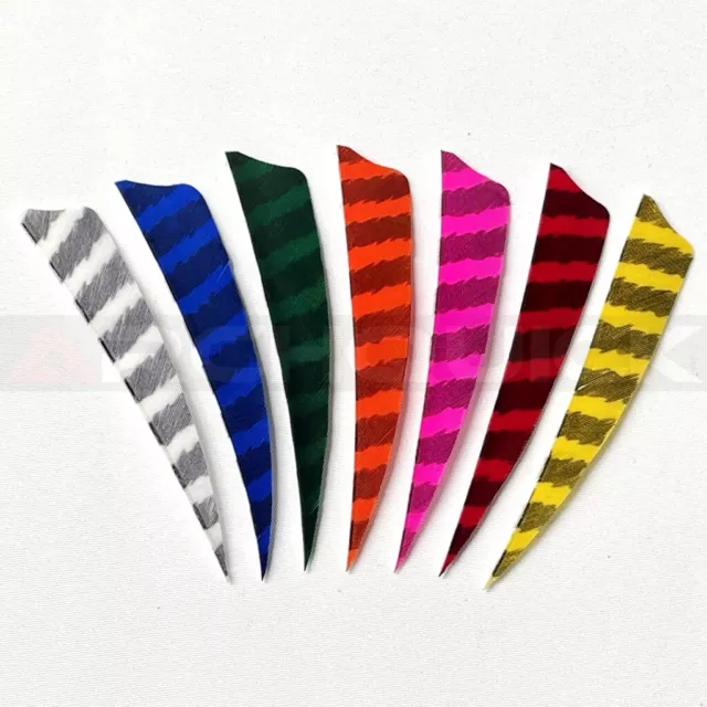 ARCHQUICK 4" Shield Barred RW Turkey Feather 12pack 7 Colours Fletching Vanes