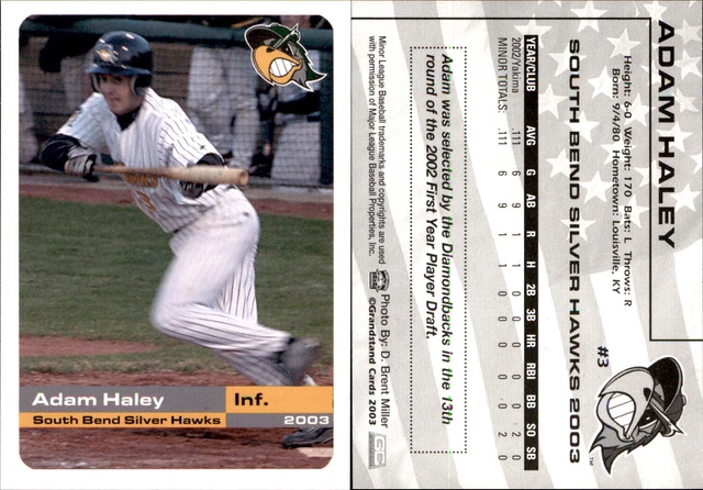 Adam Haley 2003 Grandstand South Bend Silver Hawks #NNO Card *AutographDen*