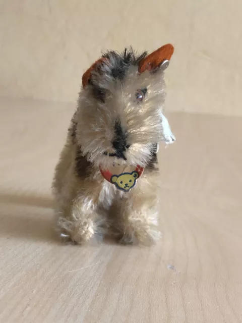 Steiff Terrier Hund Terry 50er Jahre 9cm