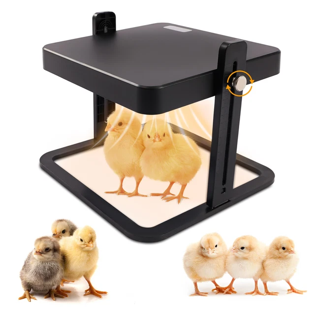 15 CHICK BROODER/HEAT Plate Thermostatic for Chicks Ducklings
