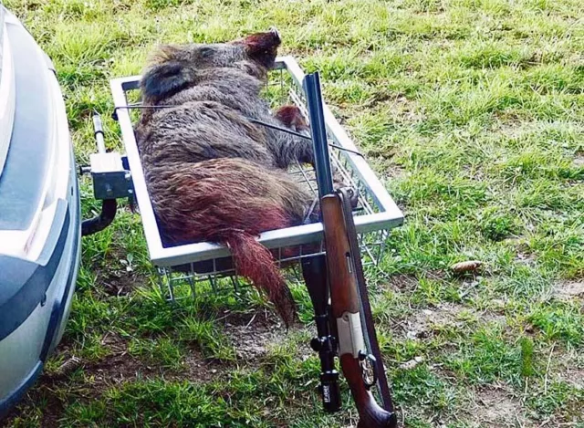 Wildträger II mit Schnellverschluss Jagd Hecktransporter Wildwanne Kirrgut Quad