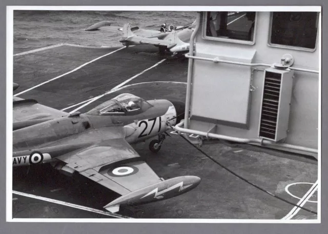 De Havilland Dh Sea Venom 893 Squadron Large Vintage Original Press Photo 3