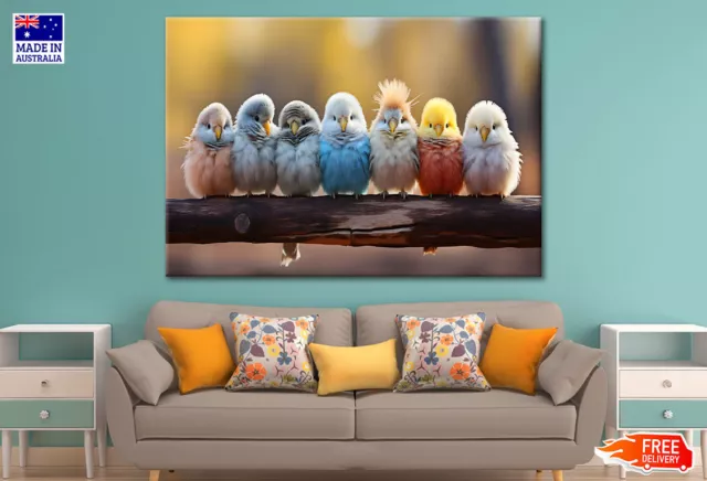 Cute Budgies Birds Wall Canvas Home Decor Australian Made Quality