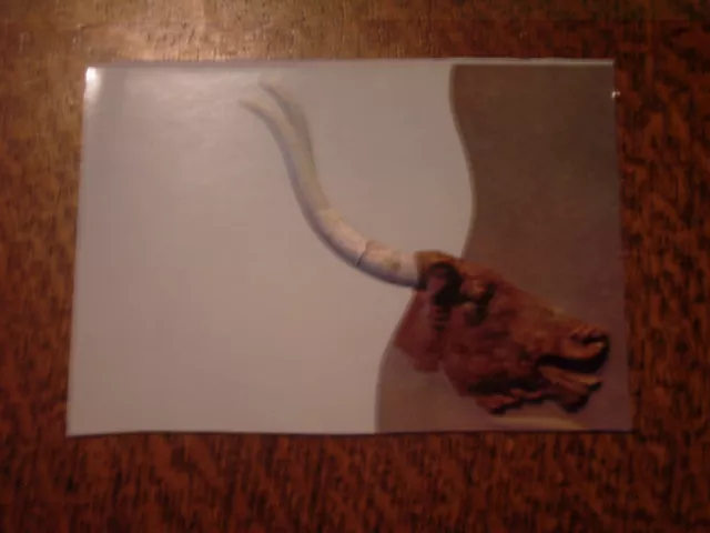 carte postale musée d'héraclion le taureau fresque de cnossos
