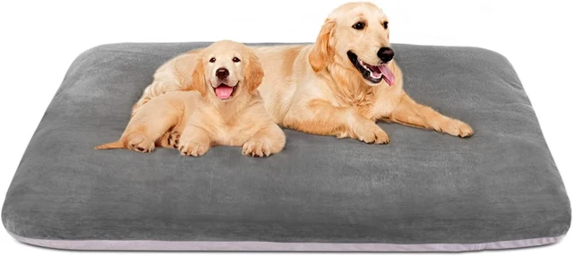 Super Soft Extra Large Dog Bed, 47 Inches Jumbo Orthopedic Foam Pet Beds Mattres