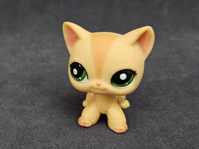 Littlest Pet Shop Hasbro – Chat Shorthair Puzzle – Figurine Originale LPS