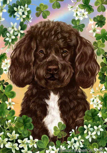 Clover House Flag - Brown and White Portuguese Water Dog 31488
