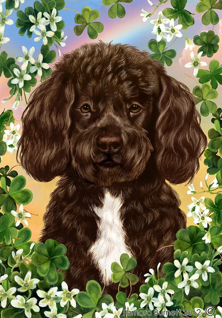 Clover House Flag - Brown and White Portuguese Water Dog 31488