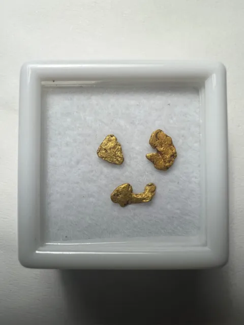 Australian Natural Gold Nugget Specimens - 0.313 grams IN BOX