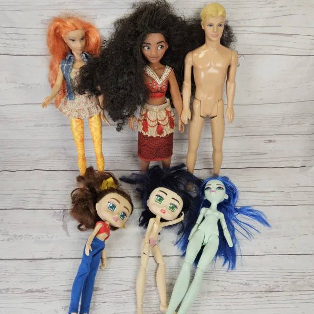Random Doll Lot Moana Boxy Girls Monster High Ken Barbie Fairytopia