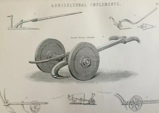 Antique Print Agricultural Implements C1870's Engraving Ancient Roman Ploughs