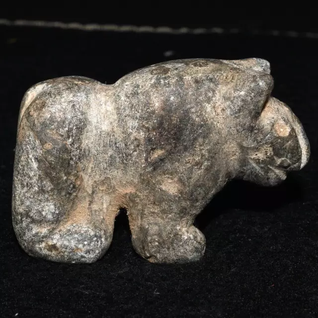 Rare Ancient Bactrian Schist Stone Animal Figurine Circa 2500 BC - 1500 BC