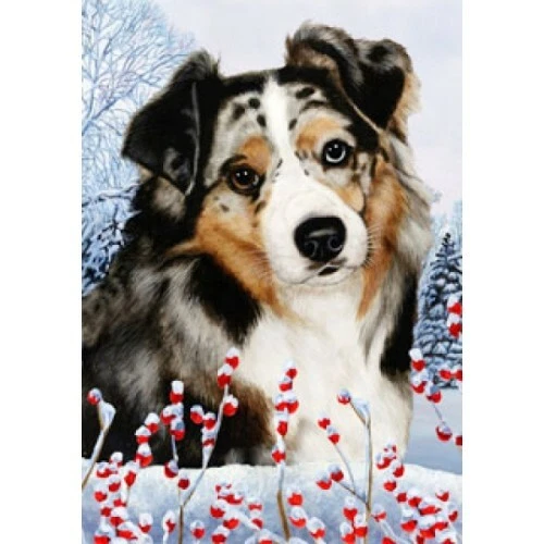 Winter House Flag - Blue Merle Australian Shepherd 15059