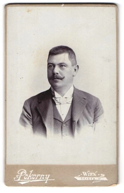 Fotografie Atelier Pokorny, Wien, Graben 17, Portrait stattlicher Herr mit Schn