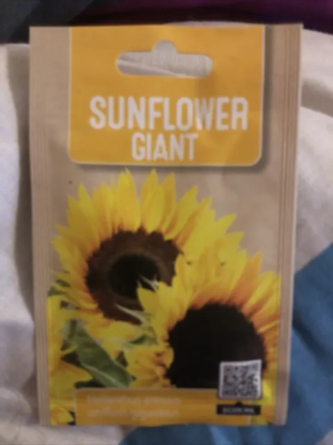 Petit Sachet De Graine De Tournesol Geant Neuf