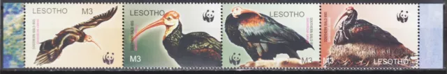 Lesotho 2004 WWF Birds Southern Bald Ibis Endangered Species Nature strip MNH 2