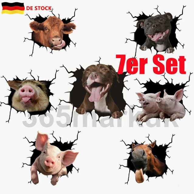 Set 7 adesivi auto adesivi cane adesivi finestrini auto adesivi animali NUOVO Z5H