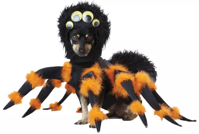 Pet Spider Costume