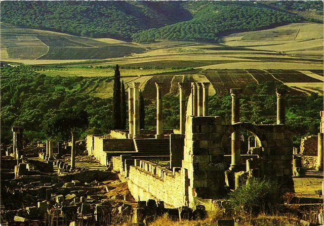 CPM AK Volubilis- Basilique et le capitol MAROC (881194)
