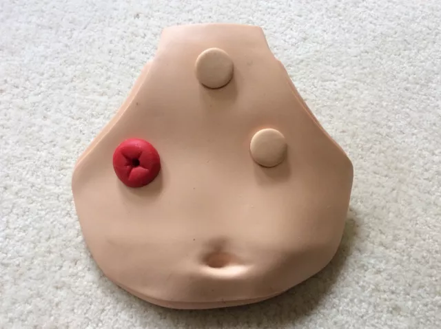 Laerdal Belly Plate 3 Hole For Nursing Anne Kelly Adult Full Body Manikin