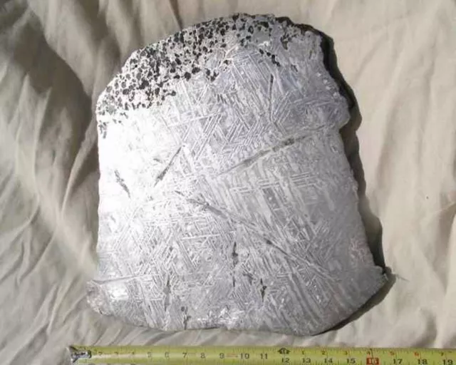 WORLD CLASS ENORMOUS 53.5 Lb SEYMCHAN IRON METEORITE FULL SLICE FANTASTIC ETCH!