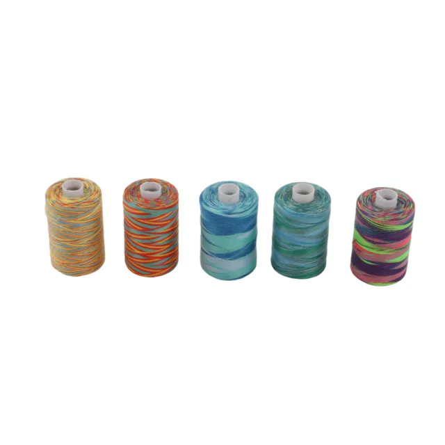 10x Embroidery Machine Thread Polyester Variegated Diverse Colors Polyester Thre